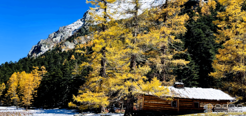1224160_2048x2048