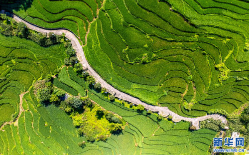 1684401_600x2048
